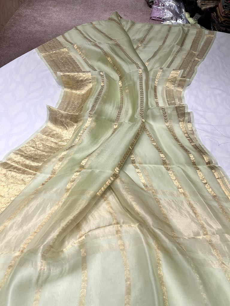 SEMI ORGANZA SAREES - AS1920