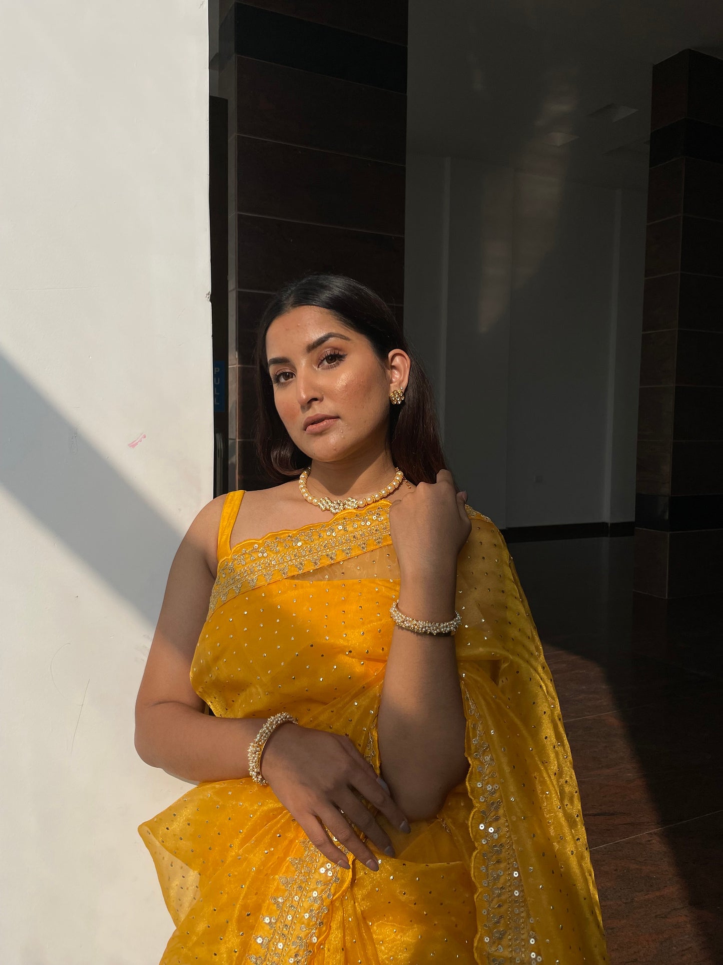SEMI ORGANZA SAREE - AS913