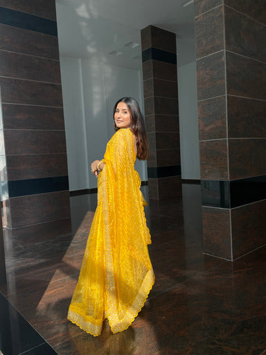 SEMI ORGANZA SAREE - AS913