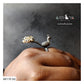 STATEMENT FINGER RINGS - AR170